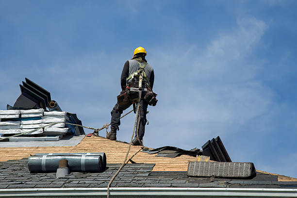 Professional Roof Installation technician working in Hector, MN